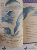 Vintage 1975 14th Printing Dolphins! by Margaret Davidson TW491 Scholastic Softcover