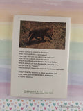 Vintage 1973 1st Printing Favorite Wild Animals of North America TX2422 Scholastic Softcover