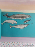 Vintage 1973 I Can Read About Whales and Dolphins Troll Associates Softcover, Like New