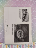 Vintage 1976 1st Printing Alligators and Other Crocodilians TW3495 Scholastic Softcover