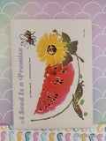 Vintage 1973 1st Printing A Seed Is a Promise TW1981 Scholastic Softcover