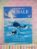 Vintage 1965 1st Printing Adventures of a WHALE TW4120 Scholastic Softcover