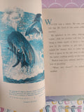 Vintage 1965 1st Printing Adventures of a WHALE TW4120 Scholastic Softcover