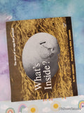 Vintage 1971 What's Inside? The Story of an Egg TJ1242 Scholastic Softcover