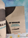 Vintage 1975 1st Printing Sea Full of Whales TJ3392 Scholastic Softcover