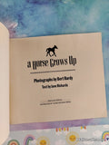 Vintage 1973 1st Printing A Horse Grows Up TJ2484 Scholastic Softcover