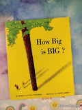 Vintage 1971 5th Printing How Big is BIG? TJ366 Scholastic Softcover
