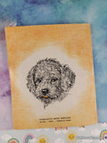 Vintage 1967 1st Printing What Whiskers Did TJ1103 Scholastic Softcover