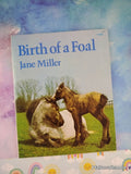 Vintage 1977 Birth of a Foal TJ4295 Scholastic Softcover