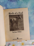 Vintage 1977 Birth of a Foal TJ4295 Scholastic Softcover