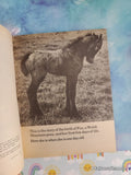 Vintage 1977 Birth of a Foal TJ4295 Scholastic Softcover