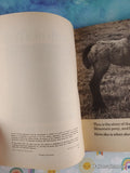 Vintage 1977 Birth of a Foal TJ4295 Scholastic Softcover