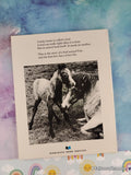 Vintage 1977 Birth of a Foal TJ4295 Scholastic Softcover