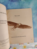 Vintage 1975 1st Printing A First Look at Birds TJ3152 Scholastic Softcover, Like New