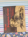 Vintage 1971 1st Printing How Puppies Grow TJ1616 Scholastic Softcover