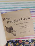 Vintage 1971 1st Printing How Puppies Grow TJ1616 Scholastic Softcover