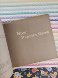 Vintage 1971 1st Printing How Puppies Grow TJ1616 Scholastic Softcover