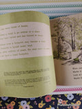 Vintage 1965 They Turned to Stone TJ1201 Scholastic Softcover