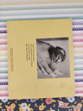 Vintage 1979 1st Printing How Kittens Grow TJ2610 Scholastic Softcover