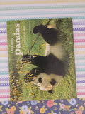 Vintage 1973 3rd Printing A Book About Pandas by Ruth Belov Gross Scholastic Softcover, Like New