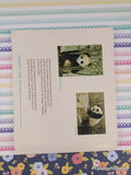 Vintage 1973 3rd Printing A Book About Pandas by Ruth Belov Gross Scholastic Softcover, Like New