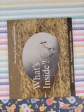 Vintage 1968 1st Printing What's Inside? The Story of an Egg TJ1242 Scholastic Softcover