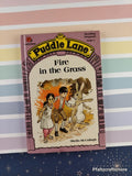 Vintage 1986 Fire in the Grass Puddle Lane Books Miniature Hardcover, Like New