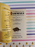 Vintage 1955 Mammals: A Golden Nature Guide Miniature Softcover