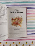 Vintage 1986 Puddle Lane: Fire in the Grass Ladybird Miniature Hardcover, Like New
