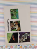 Vintage 1977 I Can Read About Insects Troll Associates Softcover, Like New