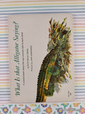 Vintage 1972 1st Printing What Is that Alligator Saying? TW1951 Scholastic Softcover