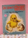 Vintage 1954 See How it Grows Wonder Books Hardcover
