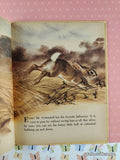 Vintage 1965 The Wonder Book of Cottontails & Other Rabbits Hardcover