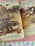 Vintage 1965 The Wonder Book of Cottontails & Other Rabbits Hardcover