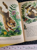 Vintage 1974 Little Peter Cottontail Wonder Books Hardcover