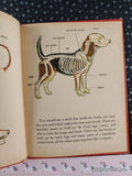 Vintage Wonder Book of Puppies Hardcover