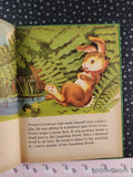 Vintage 1954 Peter Cottontail & Reddy Fox Wonder Books Hardcover