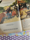 Vintage 1962 1st Printing Disney's Big Red Little Golden Book Hardcover