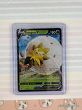 Pokemon TCG Eldegoss V 005/073 Champion's Path Full Art Holo Card - NM