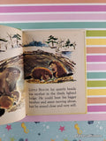 Vintage 1963 Little Beaver Rand McNally Junior Elf Miniature Hardcover