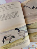 Vintage 1958 1st Printing Birds Giant Little Golden Book Hardcover