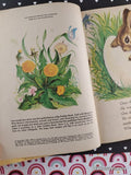 Vintage 1962 1st Printing The Golden Egg Book Little Golden Book Hardcover