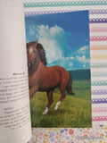 Vintage 1998 Animorphs #14: The Unknown Scholastic Softcover