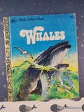 Vintage 1978 Whales Little Golden Book Hardcover