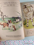 Vintage 1959 1st Printing Animals & Their Babies Little Golden Activity Book Hardcover