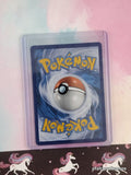 Pokemon TCG Sprigatito 013/198 Scarlet & Violet Holographic Card - NM