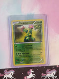 Pokemon TCG Maractus 12/114 Black & White Reverse Holo Pokemon Card - NM